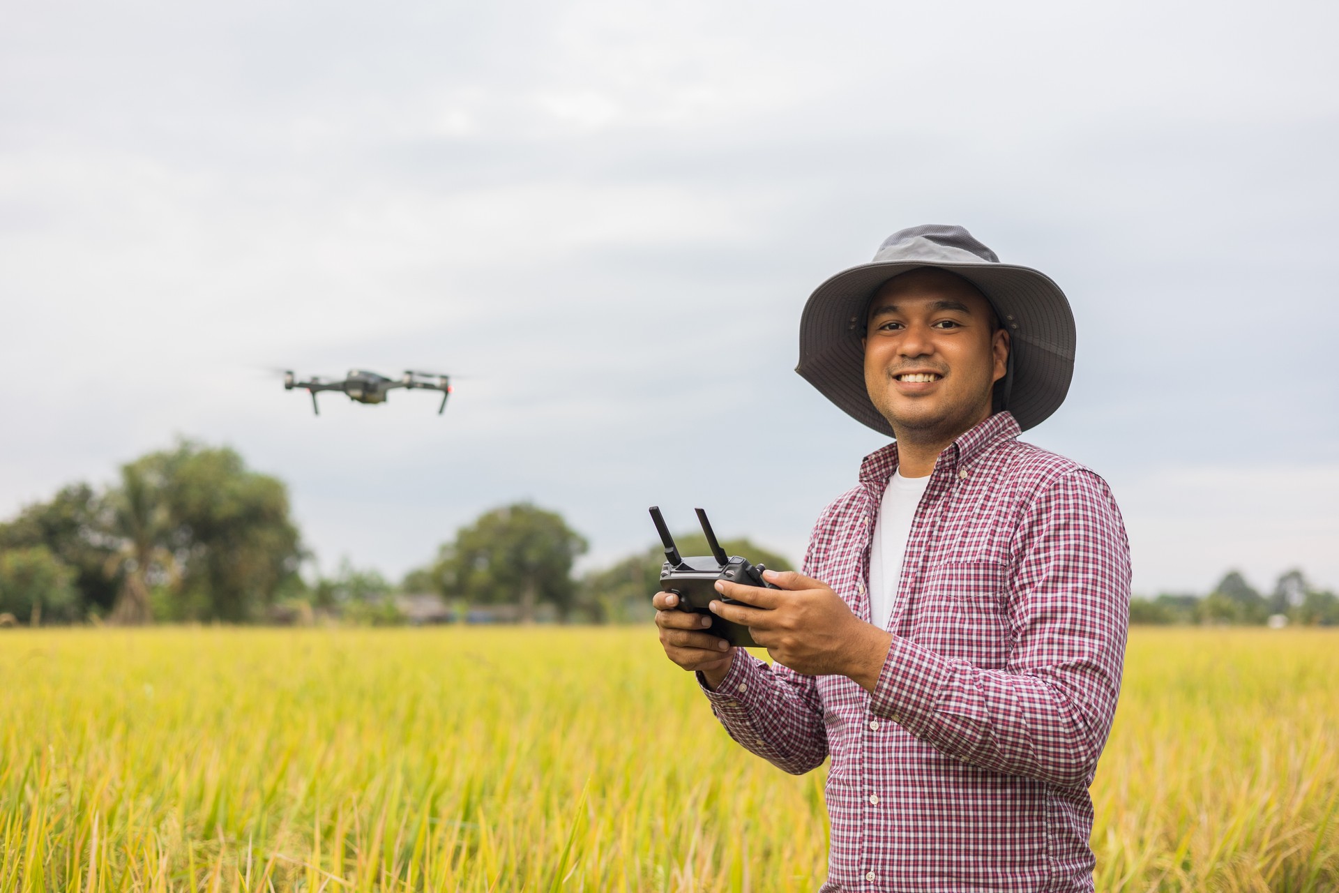 Asian farmer using drone flying navigating above farmland rice field. A young farmer controls a drone in a large scale survey of tenderly touching a young rice in the agricultural plots