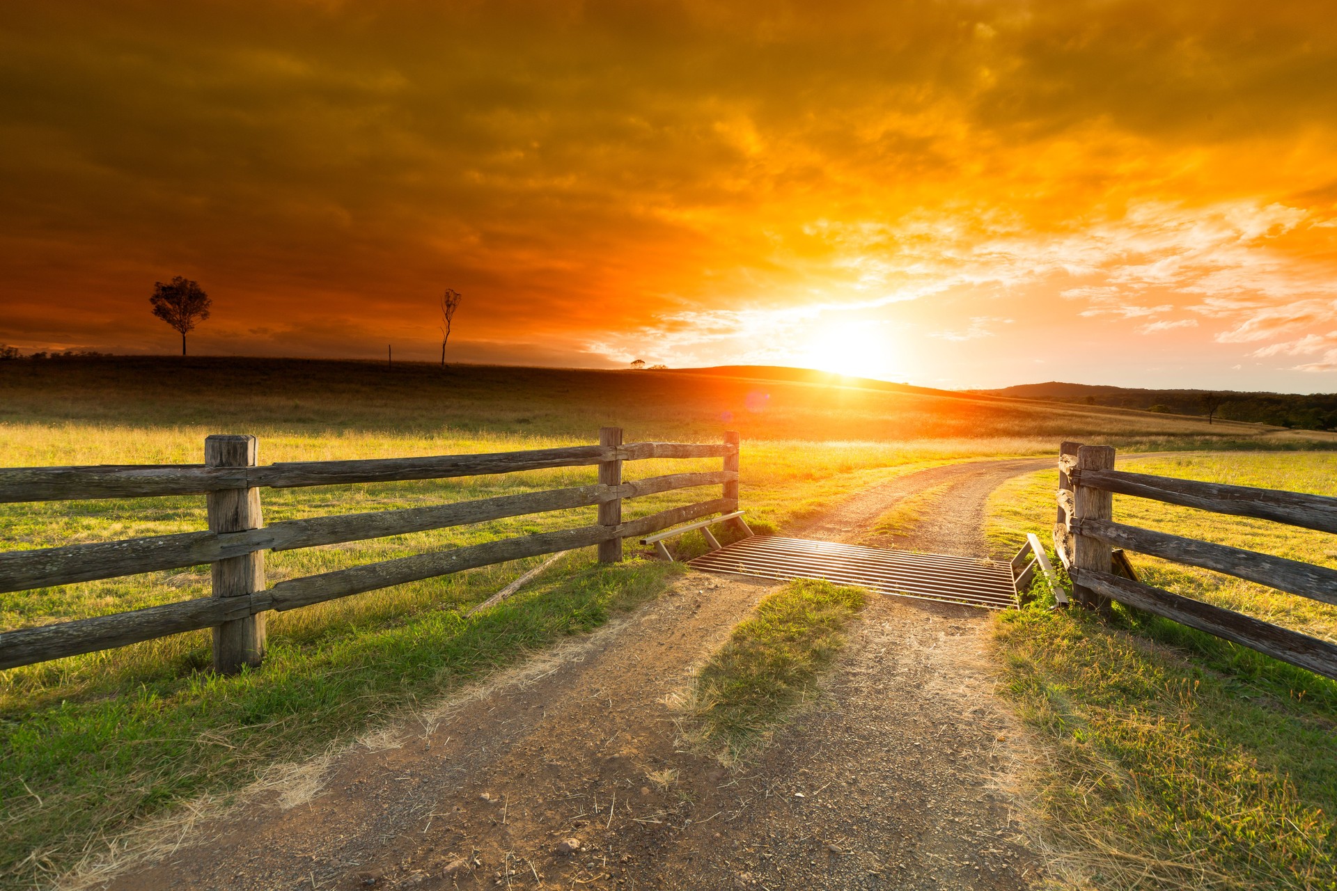 Farm Gate